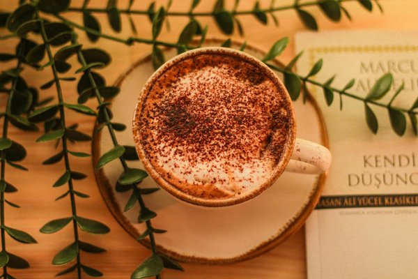 Finding the perfect sunglasses to enhance your face shape: a stylish guide